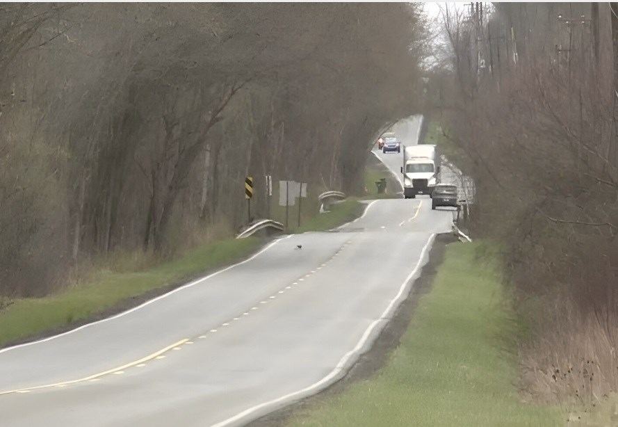 Austintown woman killed in Smith Township hit skip crash [Video]
