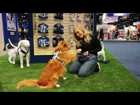 Global Pet Expo 2024 Celebrates Record-Breaking Attendance at the 20th Annual Show [Video]