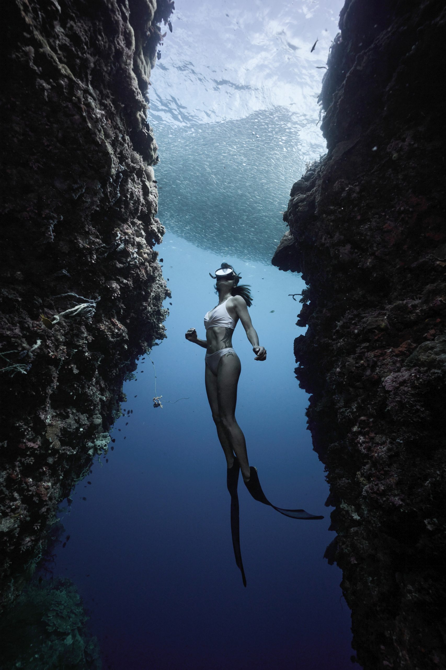 How do sports influence work life? Discover Elyss story, free-diver [Video]
