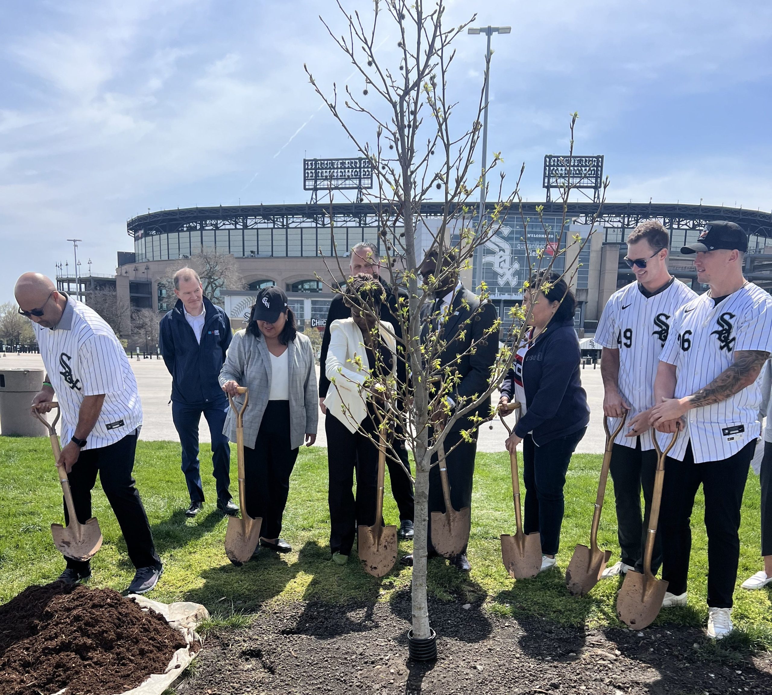 White Sox work, city plant 14 trees as part of initiative [Video]