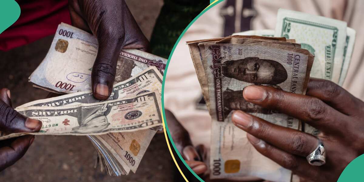 Naira Bounces Back, Appreciates Against Dollar, Euro, Pound Sterling in Official and Black Market [Video]