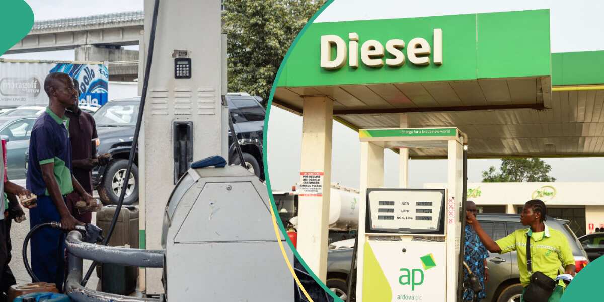 Marketers Give Reasons Diesel Will Not Sell for N950 Despite Dangote Refinery’s Price Crash [Video]