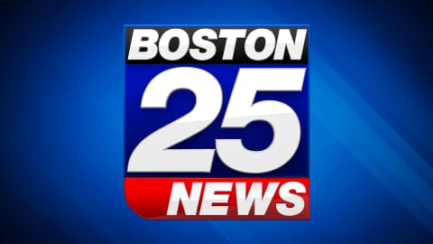 Free Mobile Passport Control App Saves You Time in Airport Customs  Boston 25 News [Video]