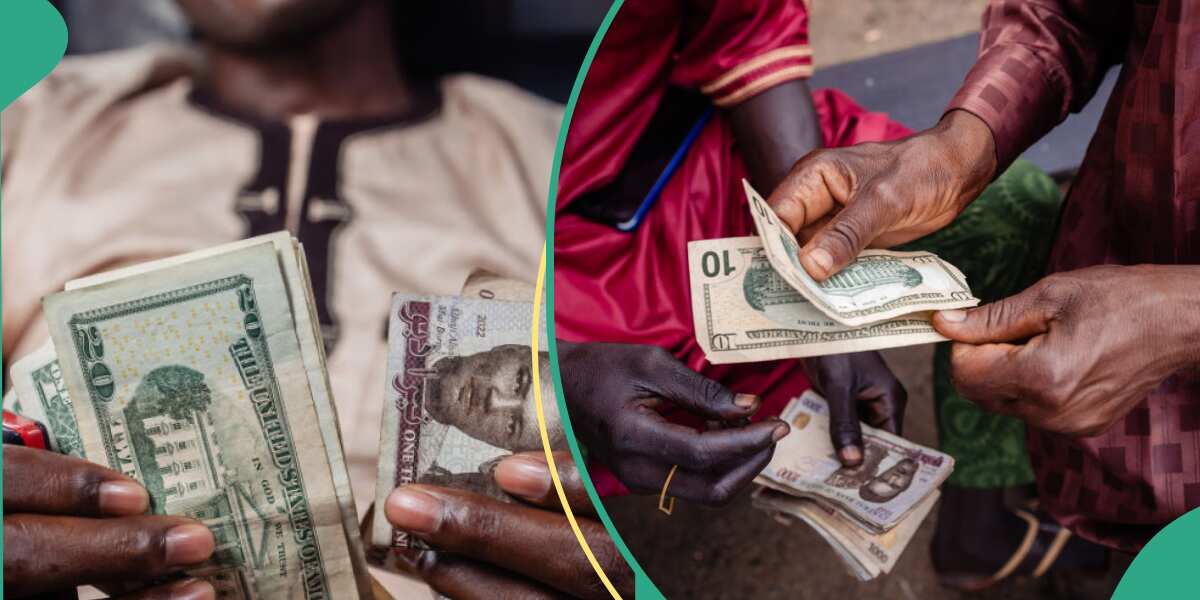 Naira Value Rises in Black Markets, Falls in Official Market Against US Dollar [Video]