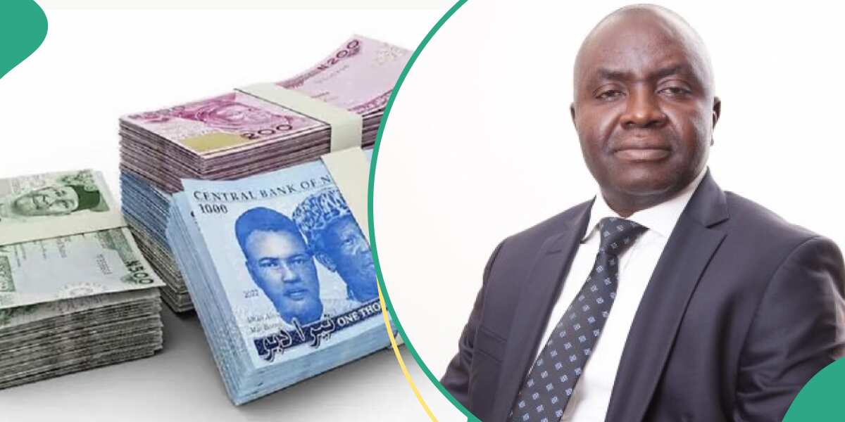 Expert Speaks on Solutions to Naira Volatility as Local Currency Loses Ground to Dollar [Video]