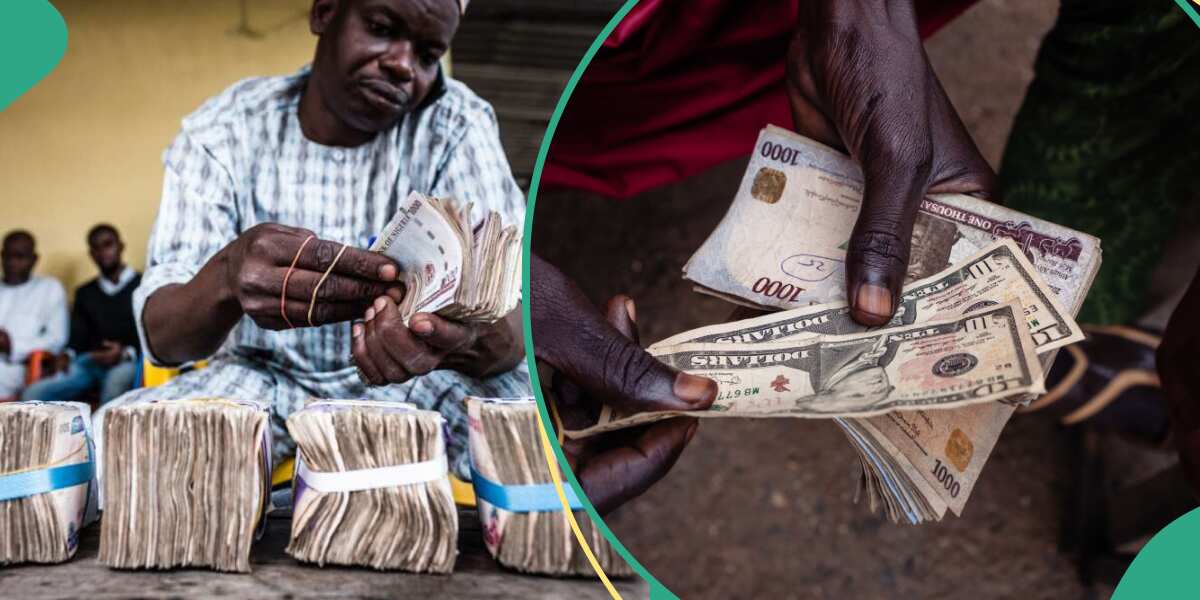 Naira Bounces Back, Gains Over N100 Against Dollar in Black Market, Traders Quote New Exchange Rate [Video]