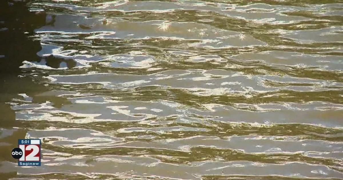 YMCA of Greater Flint offers tips on being safe around water | Local [Video]