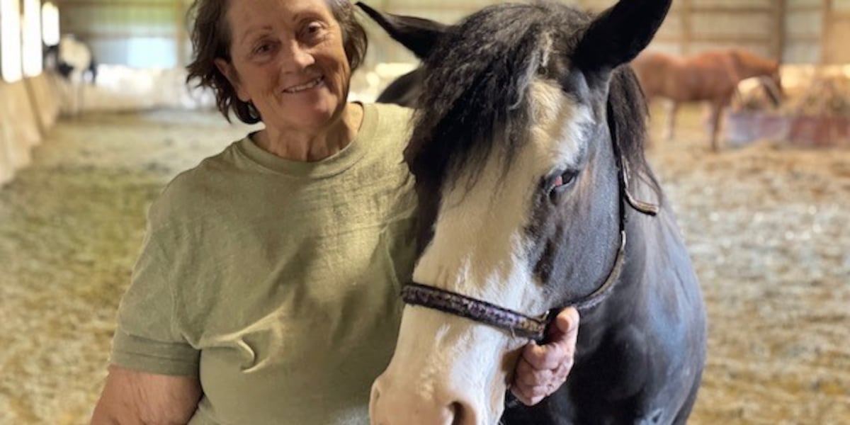 Local horse rescue needs to find a new farm to call home [Video]