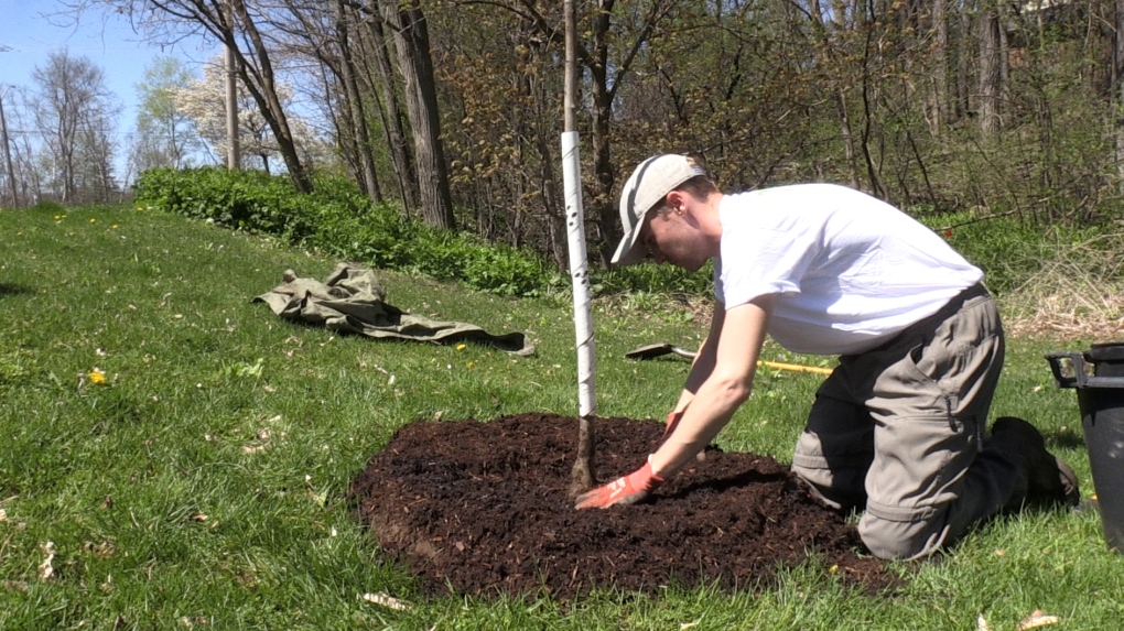 Local group aims to plant 400 trees on private properties this year [Video]