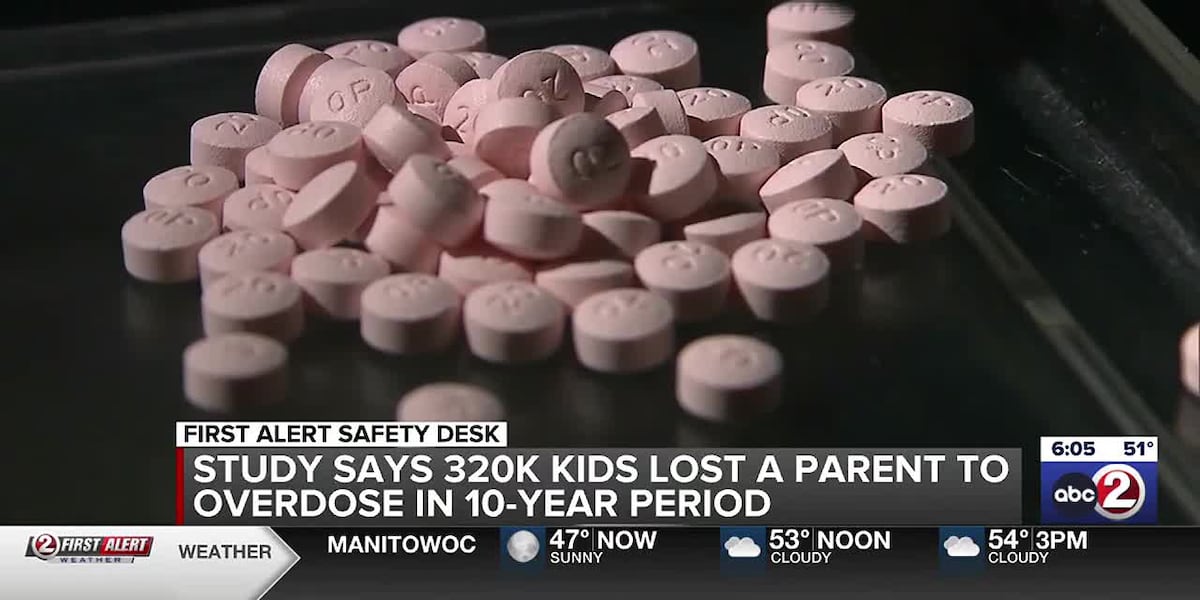 Study: More children losing parents to drug overdoses [Video]