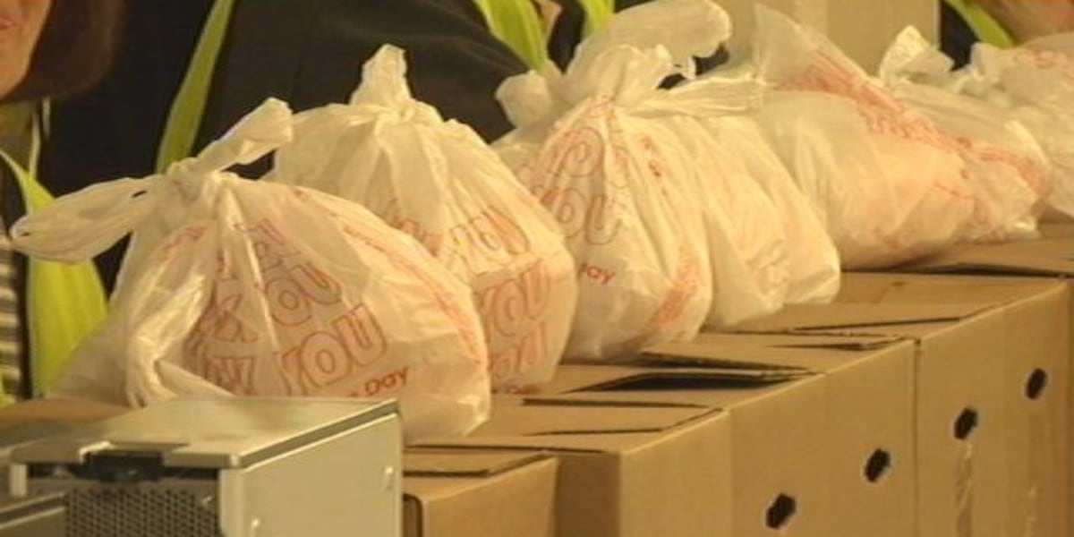 Freestore Foodbank gives 60K pounds of food for families in need at Reds Youth Academy [Video]