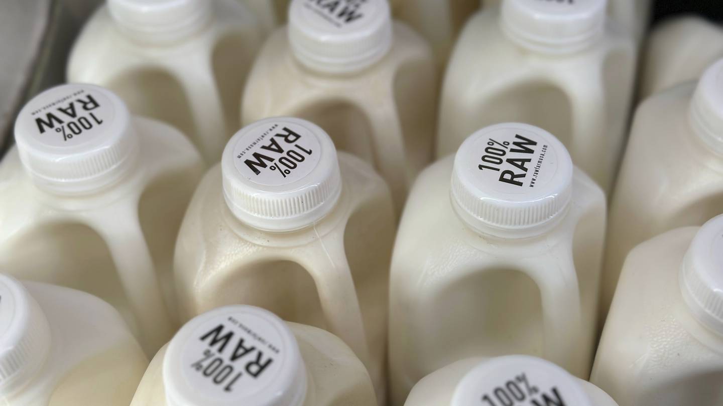 There’s bird flu in US dairy cows. Raw milk drinkers aren’t deterred  WPXI [Video]
