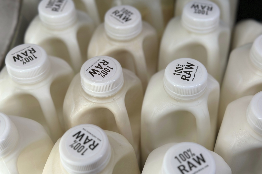 Theres bird flu in U.S. dairy cows. Raw milk drinkers arent deterred. [Video]