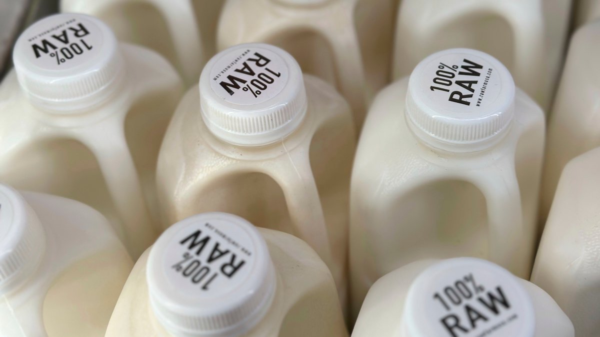 Raw milk sales rise despite bird flu warnings  NBC Connecticut [Video]