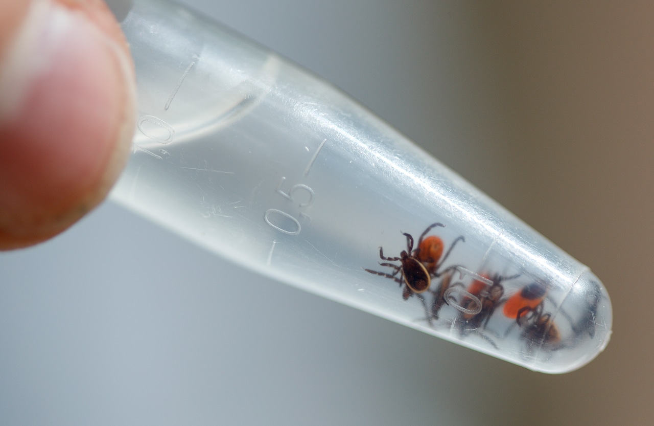 Pennsylvania launches ongoing updates on tick-borne diseases with new data dashboard [Video]