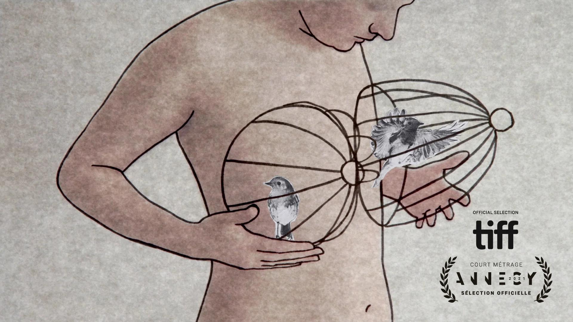 Lolos (Boobs) – a short film by Marie Valade on Vimeo [Video]