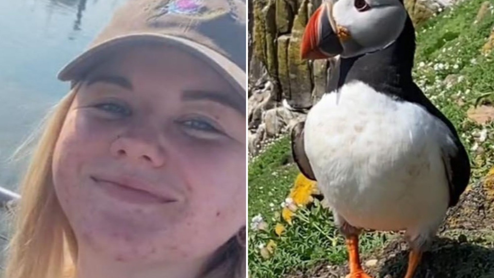 I went puffin spotting on a beautiful Irish Island with my fiance – it was the day of our dreams [Video]