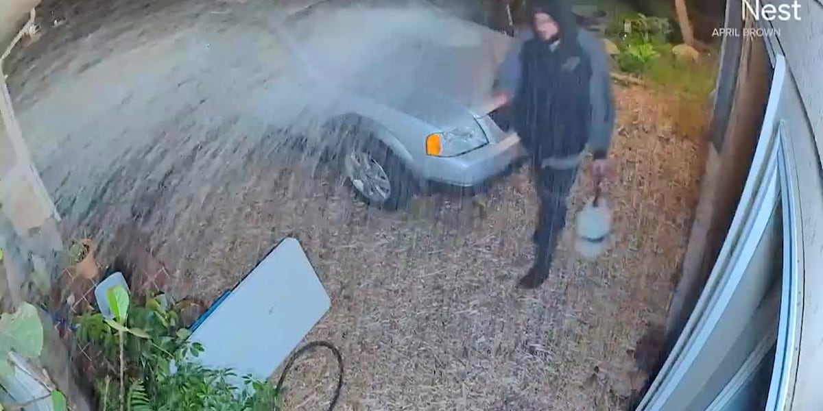 Man seen spraying fuel on woman’s home before setting it on fire [Video]