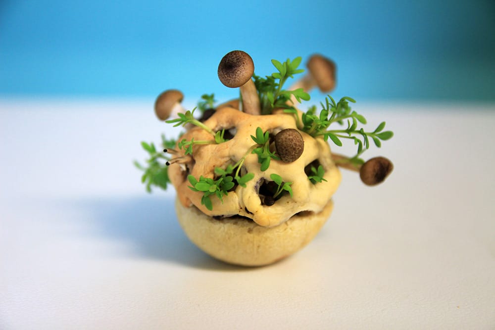 3D-Printed Living Food That Grows before You Eat It  Colossal [Video]