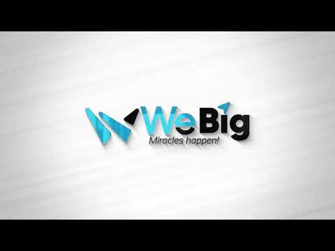 Webig Logo Reveal [Video]