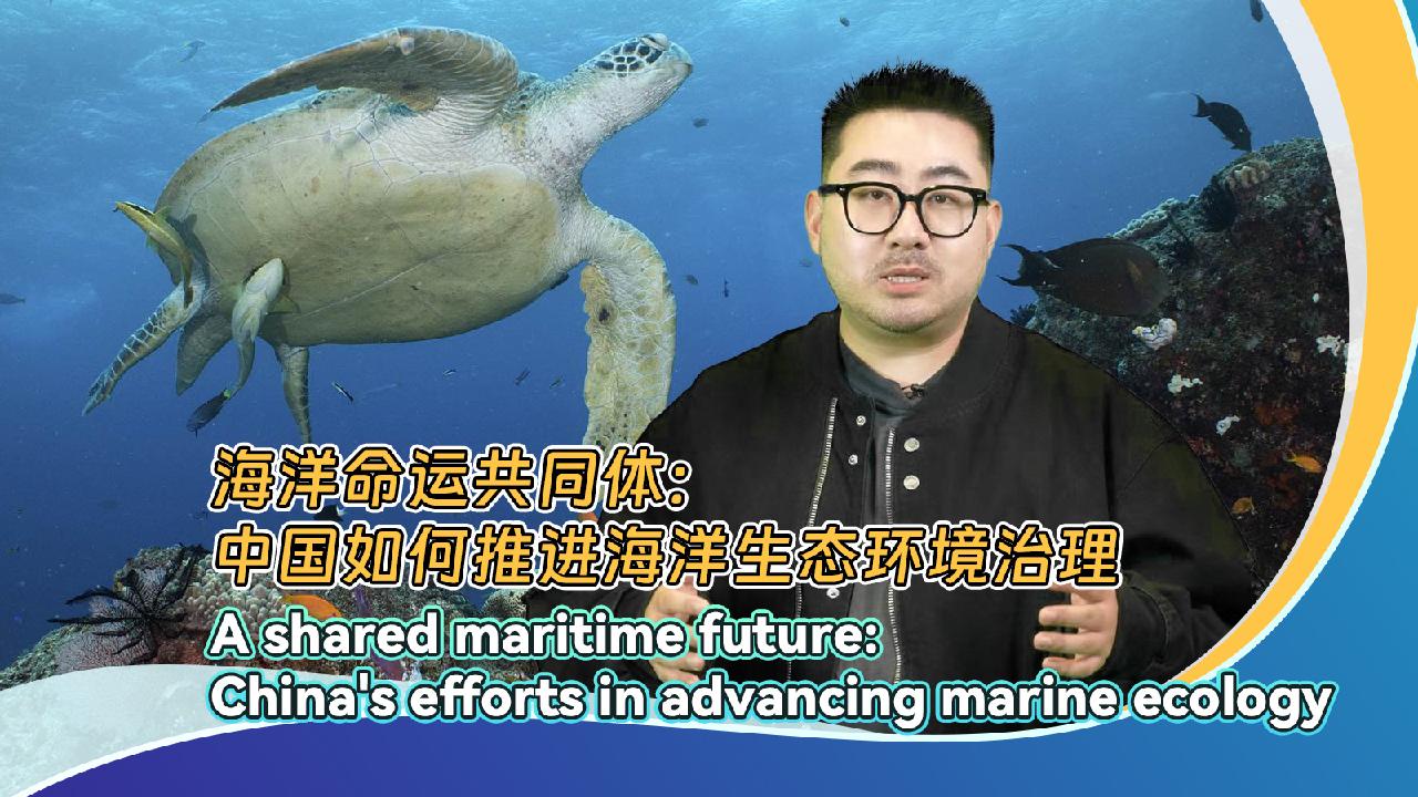 A shared maritime future: China’s efforts in advancing marine ecology [Video]