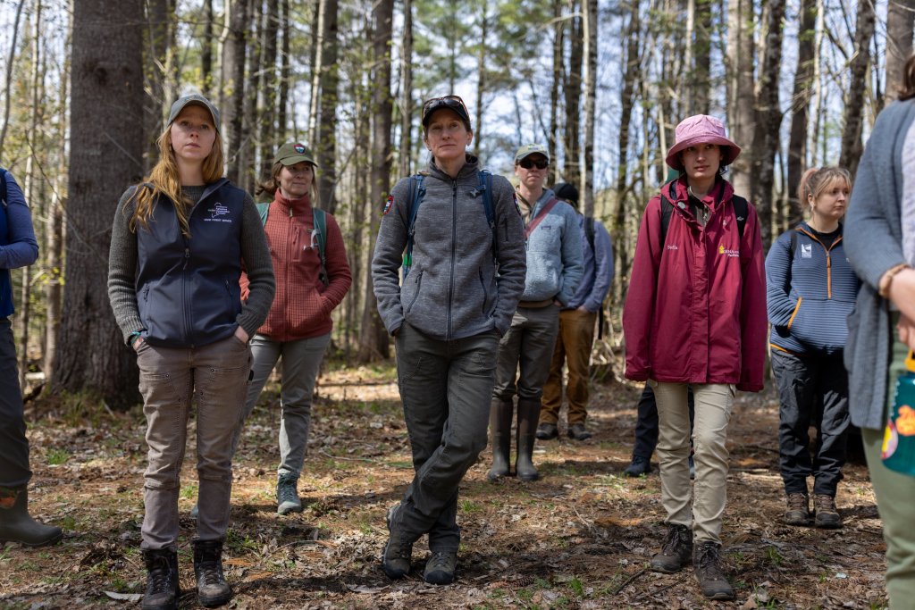 A remote forest thrives, thanks to woodswomen [Video]