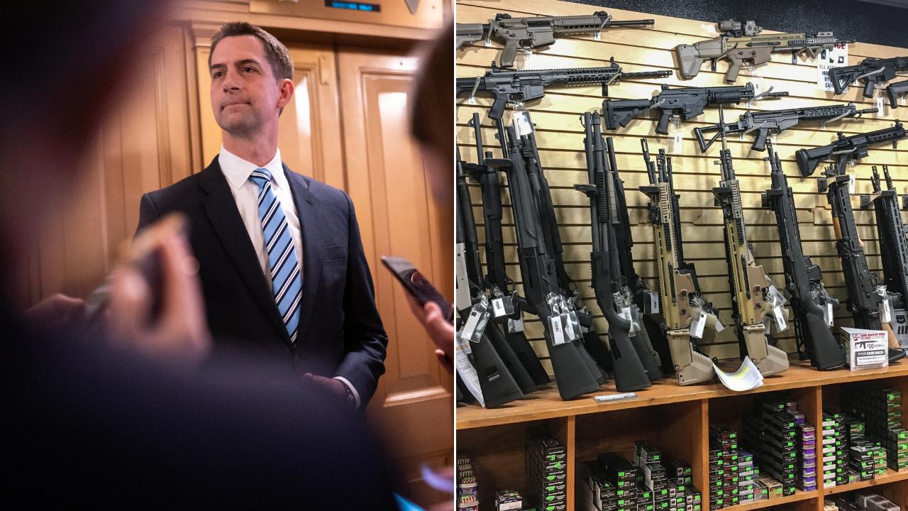 Republicans team up to defeat longtime ‘restriction’ targeting gun owners: ‘Violation of the Second Amendment’ [Video]