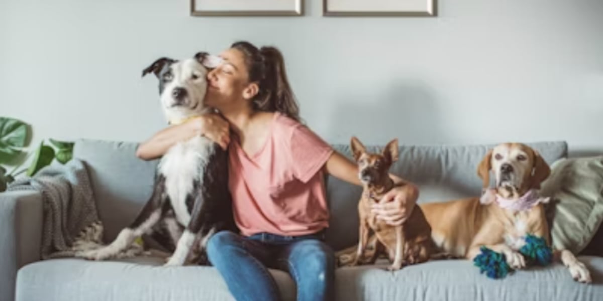 The ultimate destination for pet care services launches with All Pets Spot [Video]