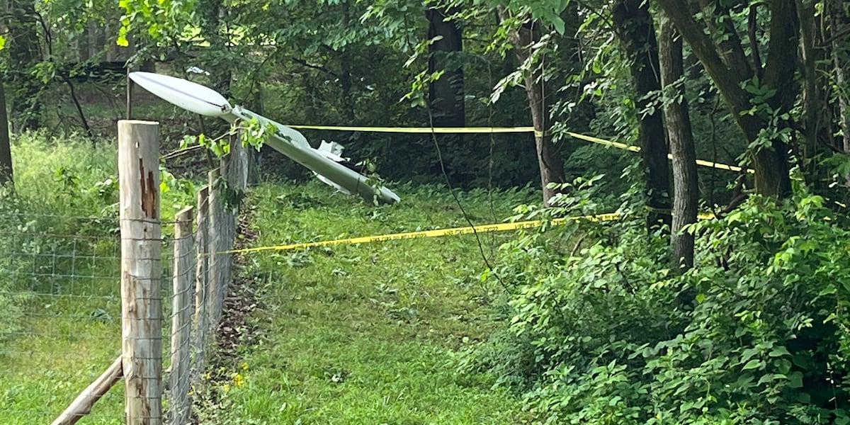 Plane registered to Louisiana doctor crashes in Williamson County, killing 3, officials say [Video]
