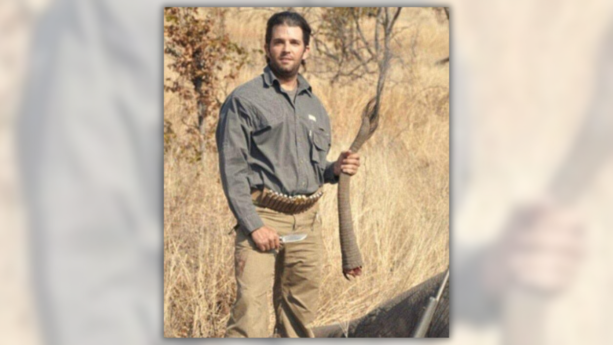 Donald Trump Jr. Photographed Holding Severed Elephant’s Tail? [Video]