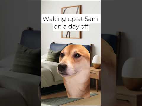 Waking Up at 5AM on Sunday [Video]