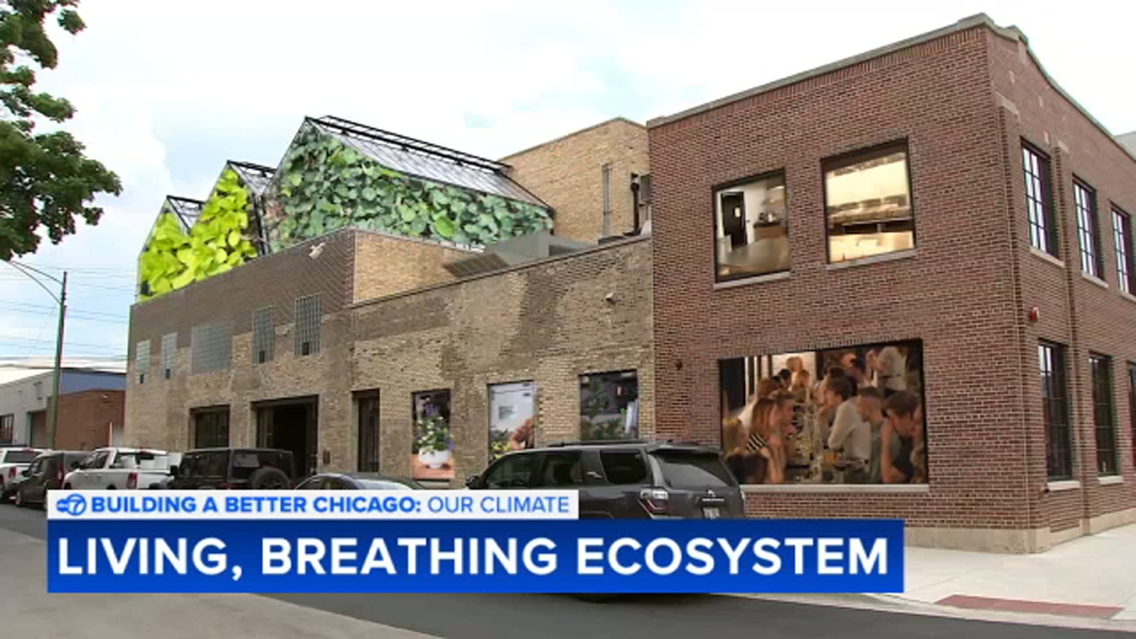 3 sustainably-obsessed Chicago businesses part of ‘living, breathing ecosystem’ in 1516 W. Carroll building in West Town [Video]