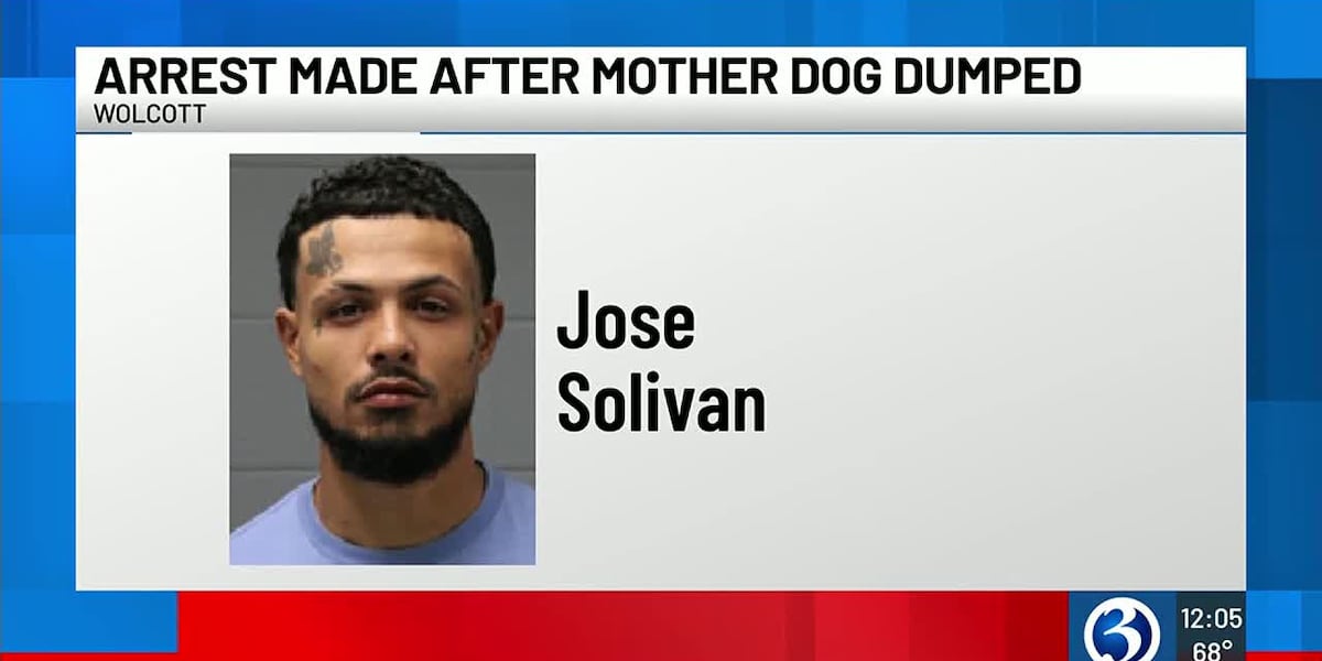 Man arrested for abandoning mother dog, selling her puppies [Video]
