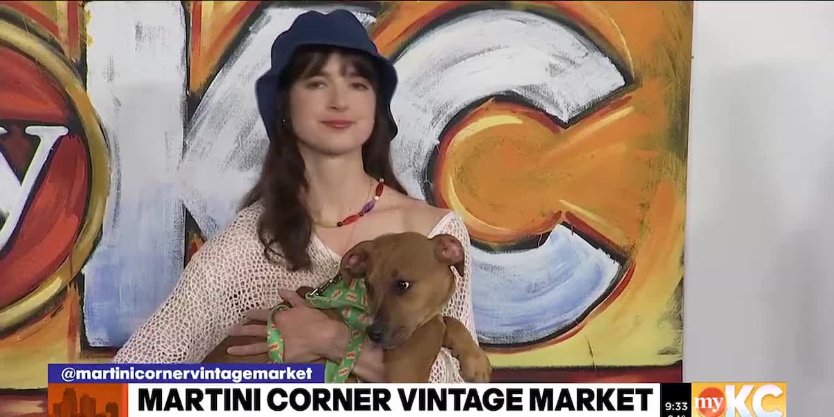 Dogs and Fashion! [Video]