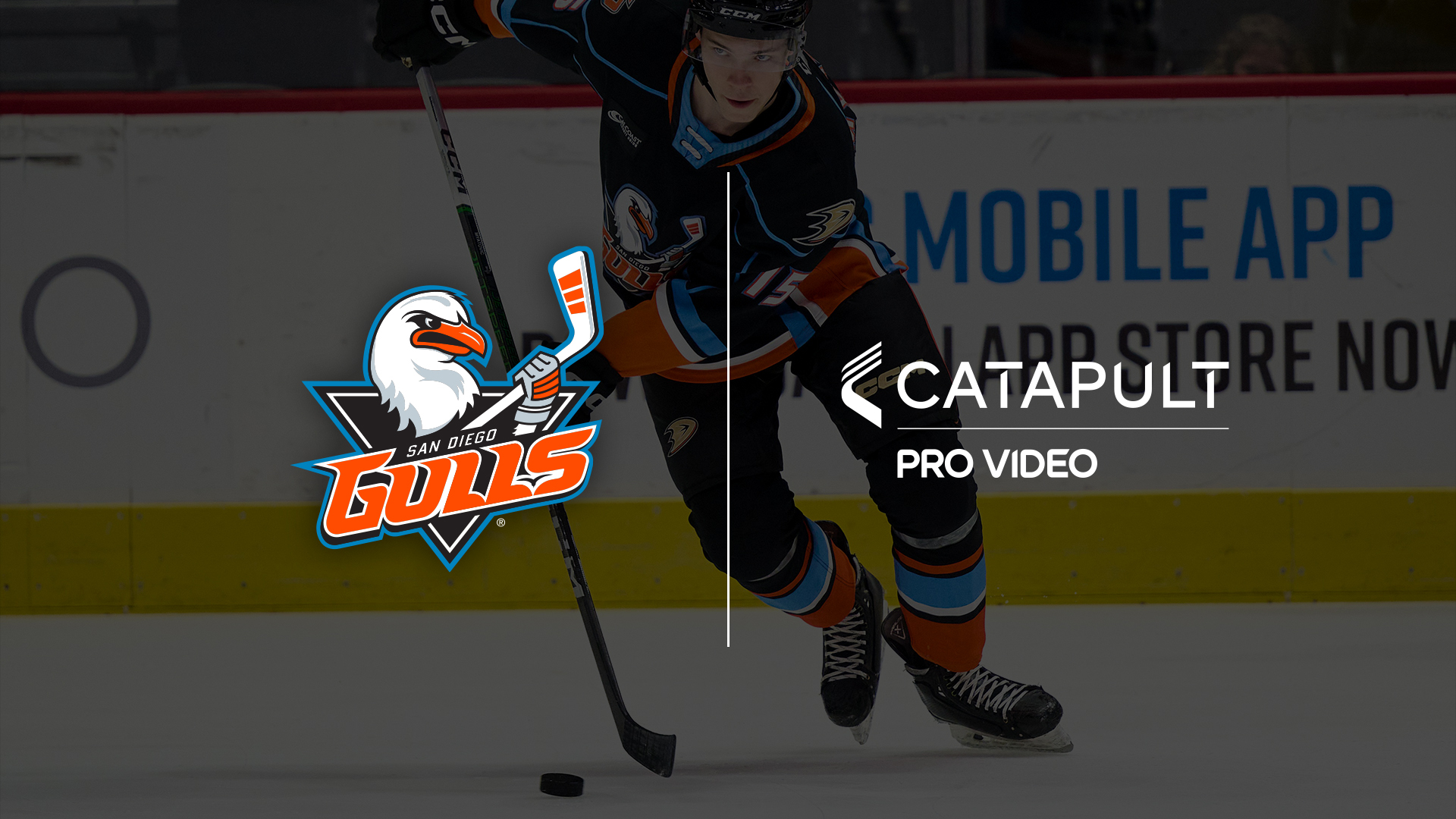 The Hub Solution for the San Diego Gulls [Video]