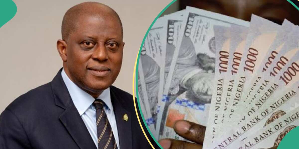 CBN Supplies Biggest Dollar Sale in One Month as Analyst Predicts New Stable Naira Rate [Video]