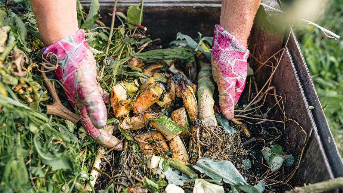 Tampa hosts free compost giveaway [Video]