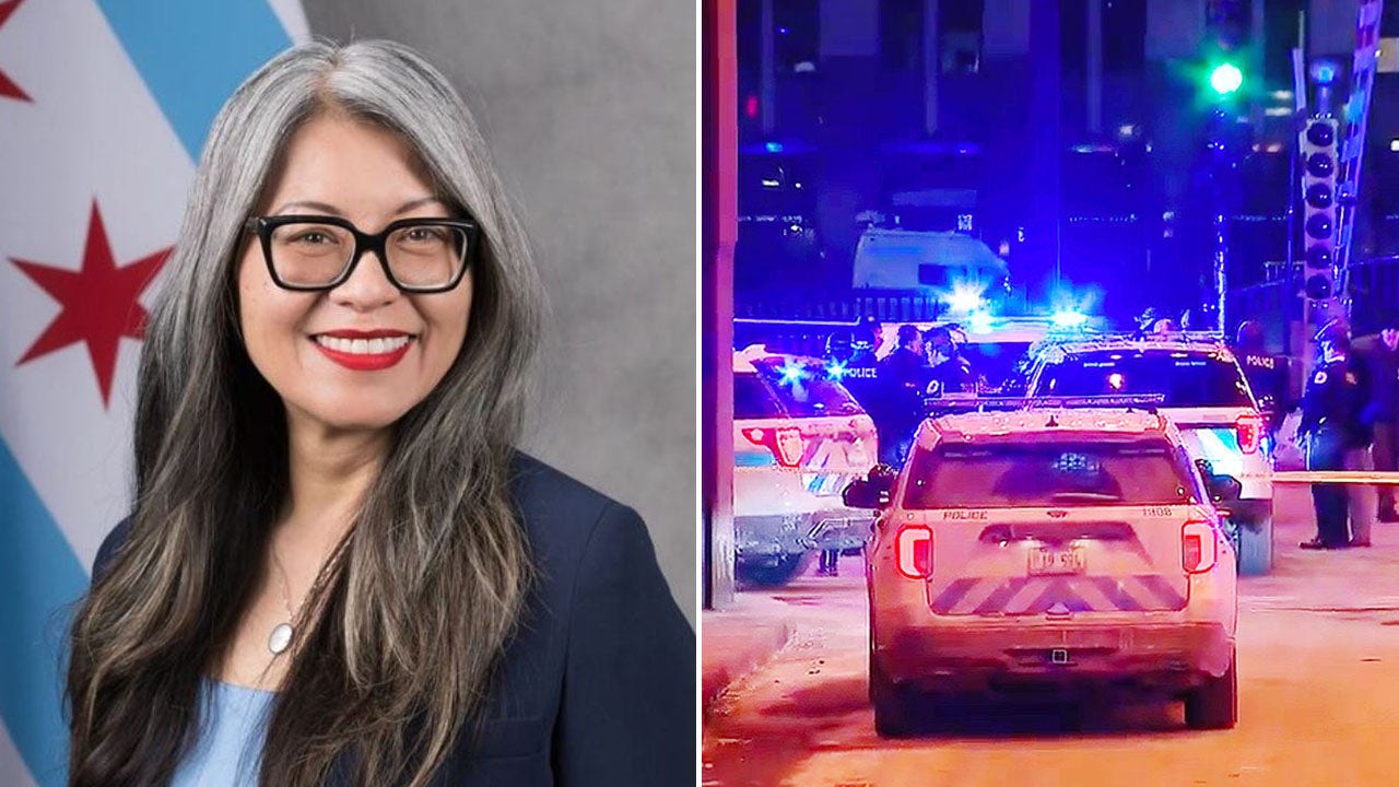 Chicago Democrat takes heat for warning against over-reporting crimes [Video]