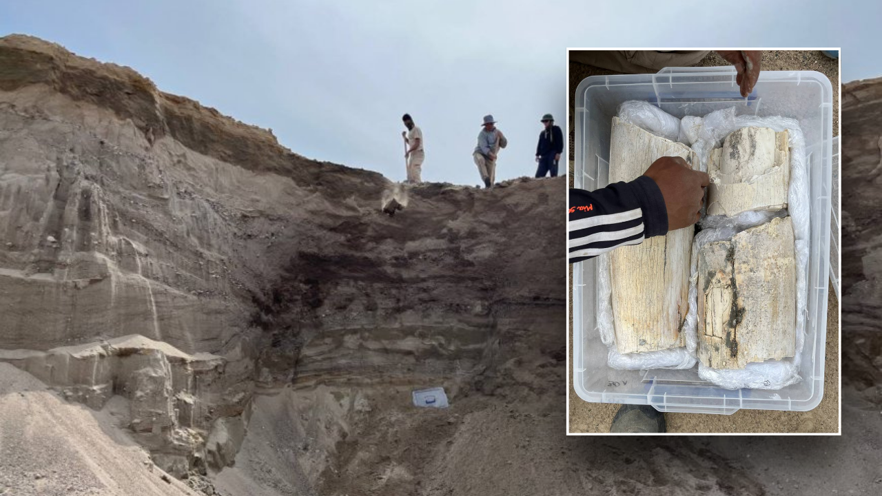 Quarry workers just doing their jobs make prehistoric discovery in Kyrgyzstan [Video]