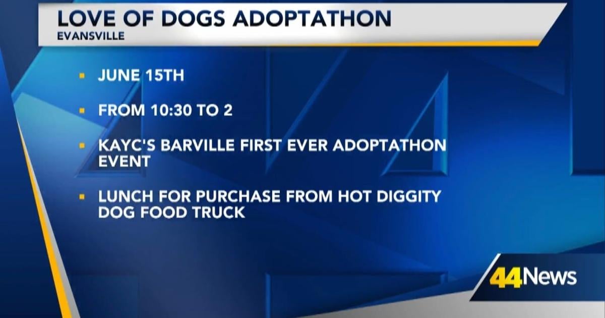 Love of Dogs Adoptathon | Video