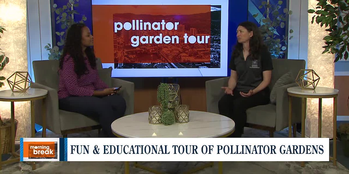 Exploring the beautiful world of pollinators at the Reno Pollinators Garden Tour [Video]