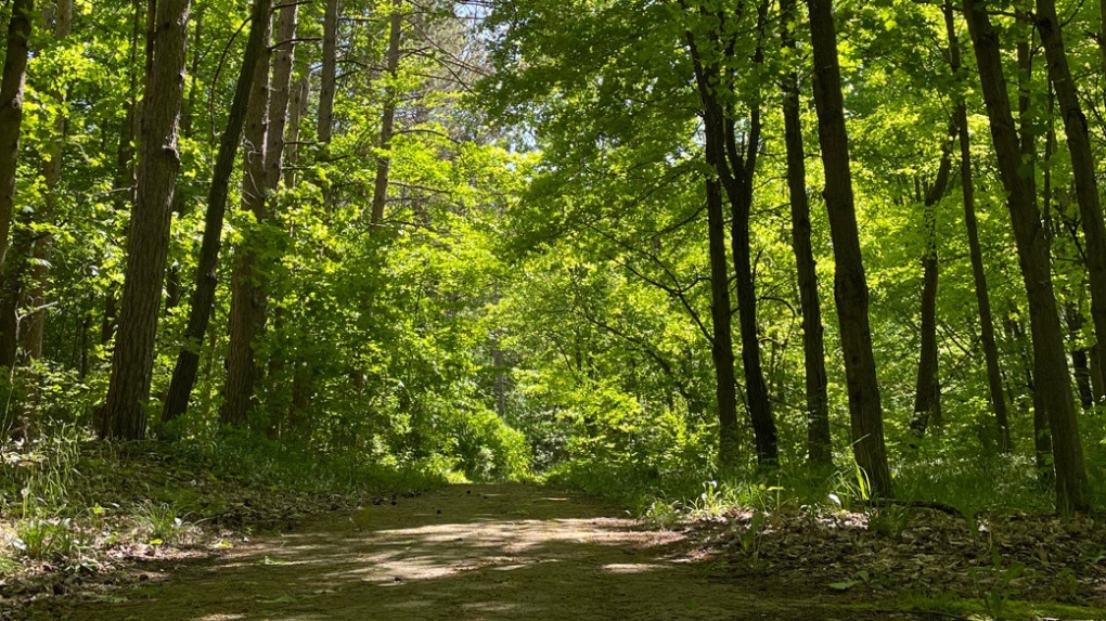 Ontario’s newest provincial park will open next month [Video]