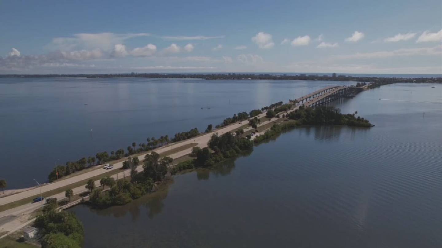 Seagrass and Optimism Sprouting along the Indian River Lagoon  WFTV [Video]