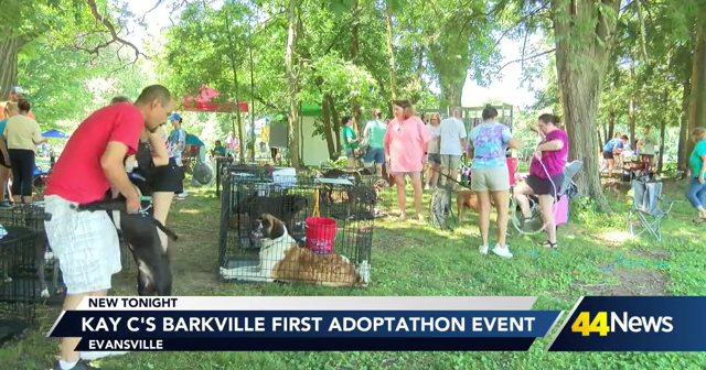 Local animal shelters gather for ‘Adoptathon’ at Woodmere Dog Park | Video