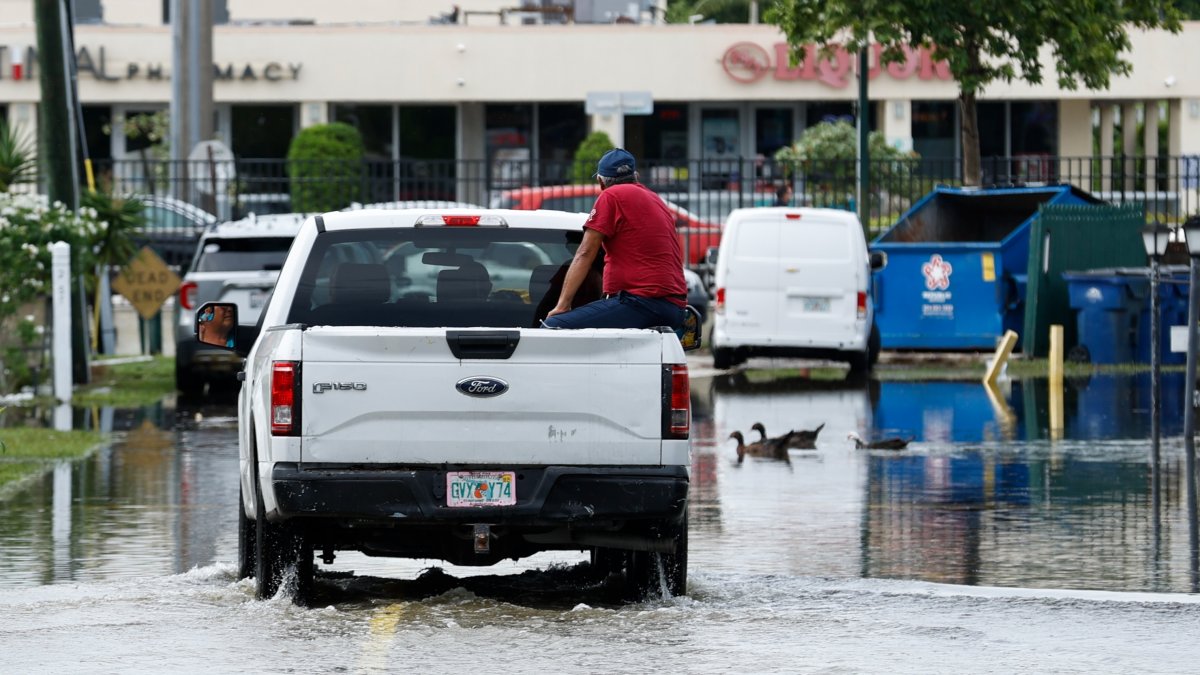 Disaster assistance for businesses flooded in South Florida  NBC 6 South Florida [Video]