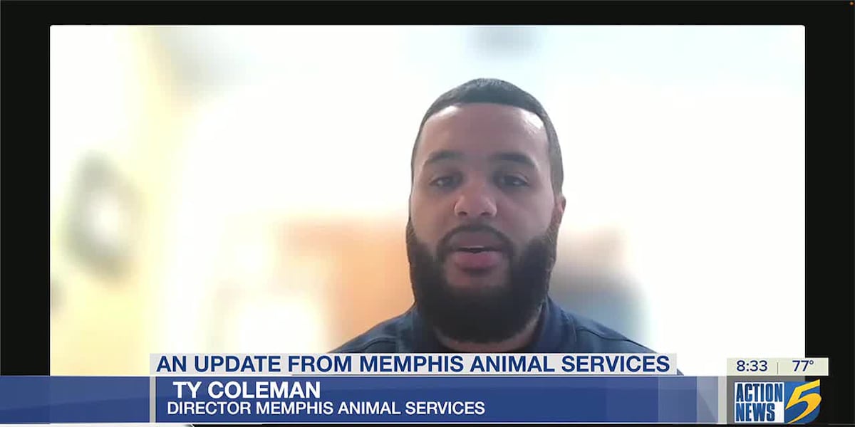 Digital Desk: City of Memphis Animal Services [Video]