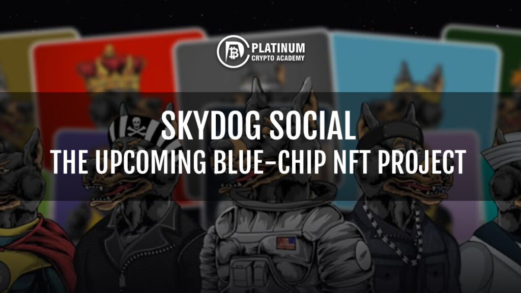 SkyDog Social: The Upcoming Blue-chip NFT Project [Video]