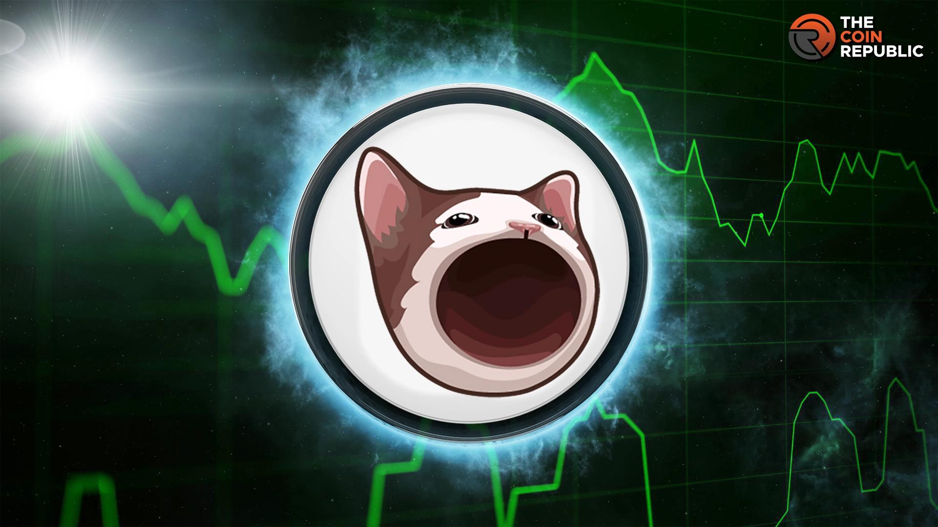 POPCAT Price Looks Weak, But Analysts Are Optimistic, Whats Next? [Video]