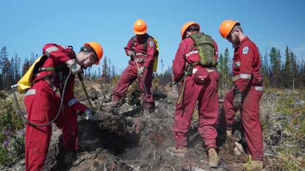 Ottawa should consider permanent workforce to tackle natural disasters, committee says [Video]