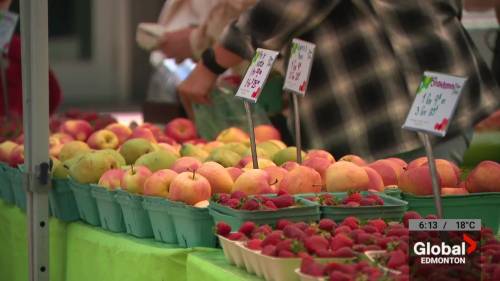 Edmonton area a hot spot for farmers markets [Video]